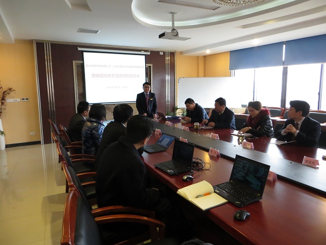 重庆明珠机电营销管控体系项目